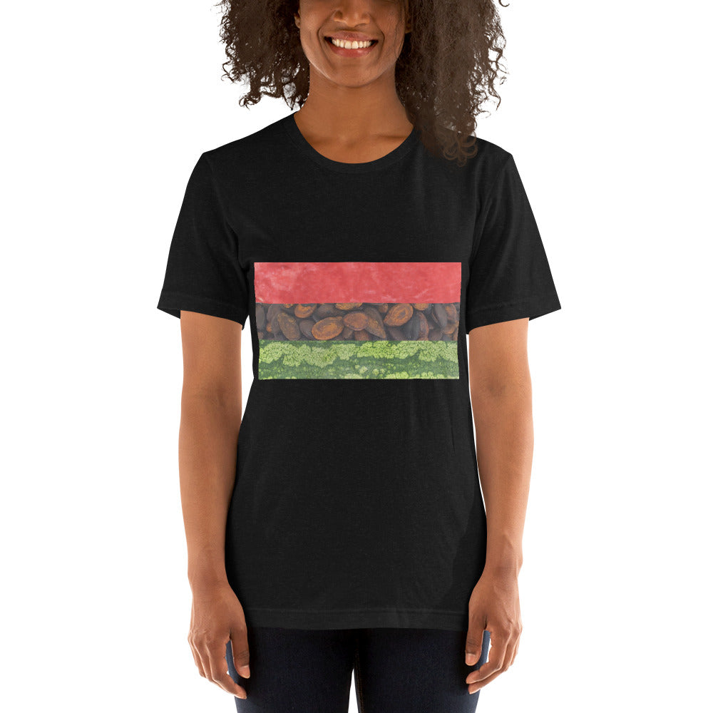 Watermelon Pan African Flag t-shirt